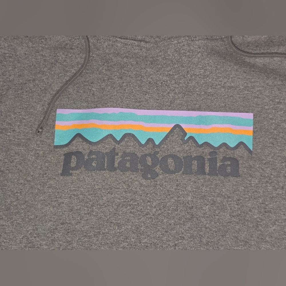 Patagonia Women's Gray Hoodie Sweater - Picture 2 of 3